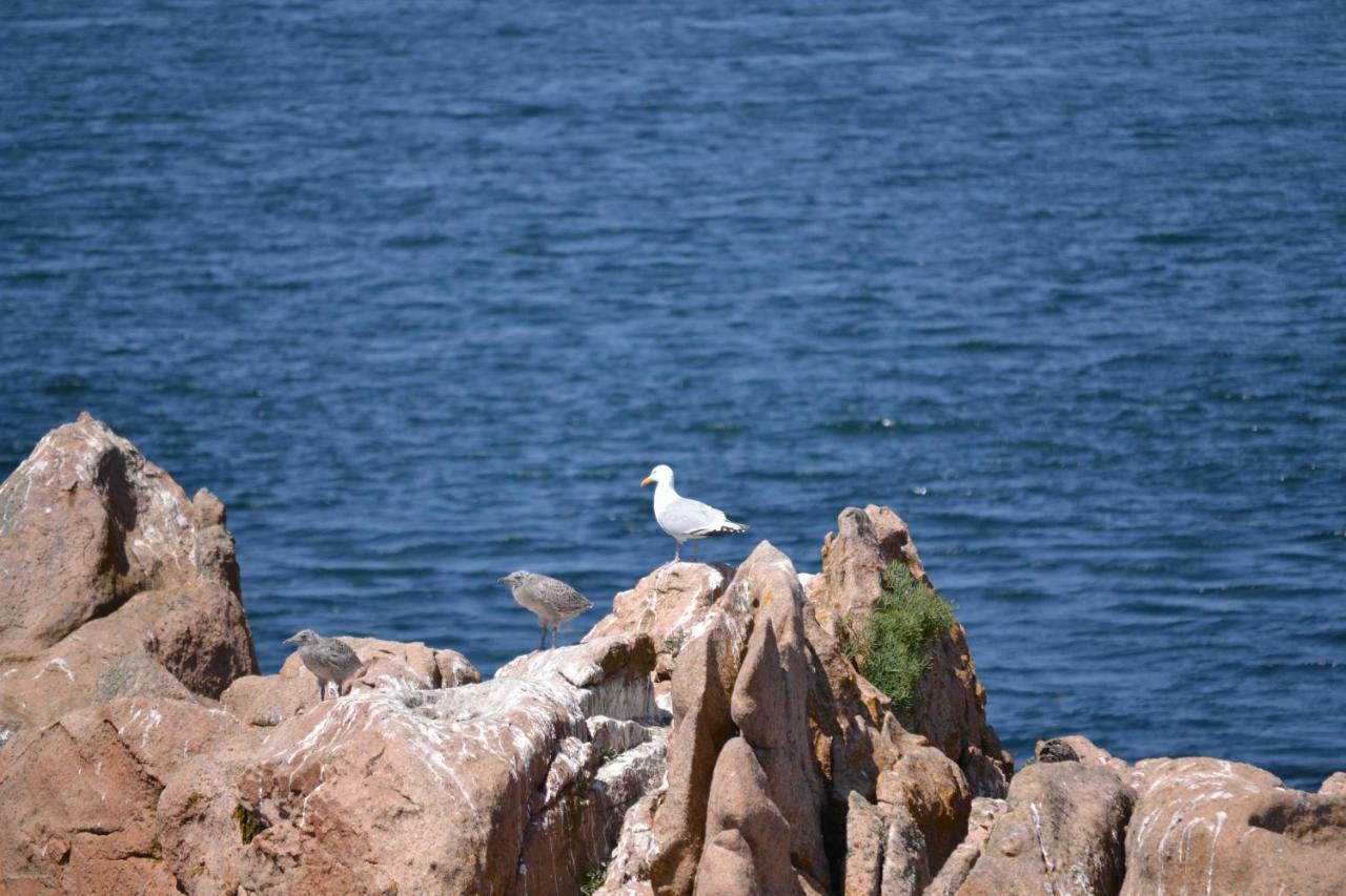 Gite Du Port Sur La Presqu'Ile De Lézardrieux מראה חיצוני תמונה